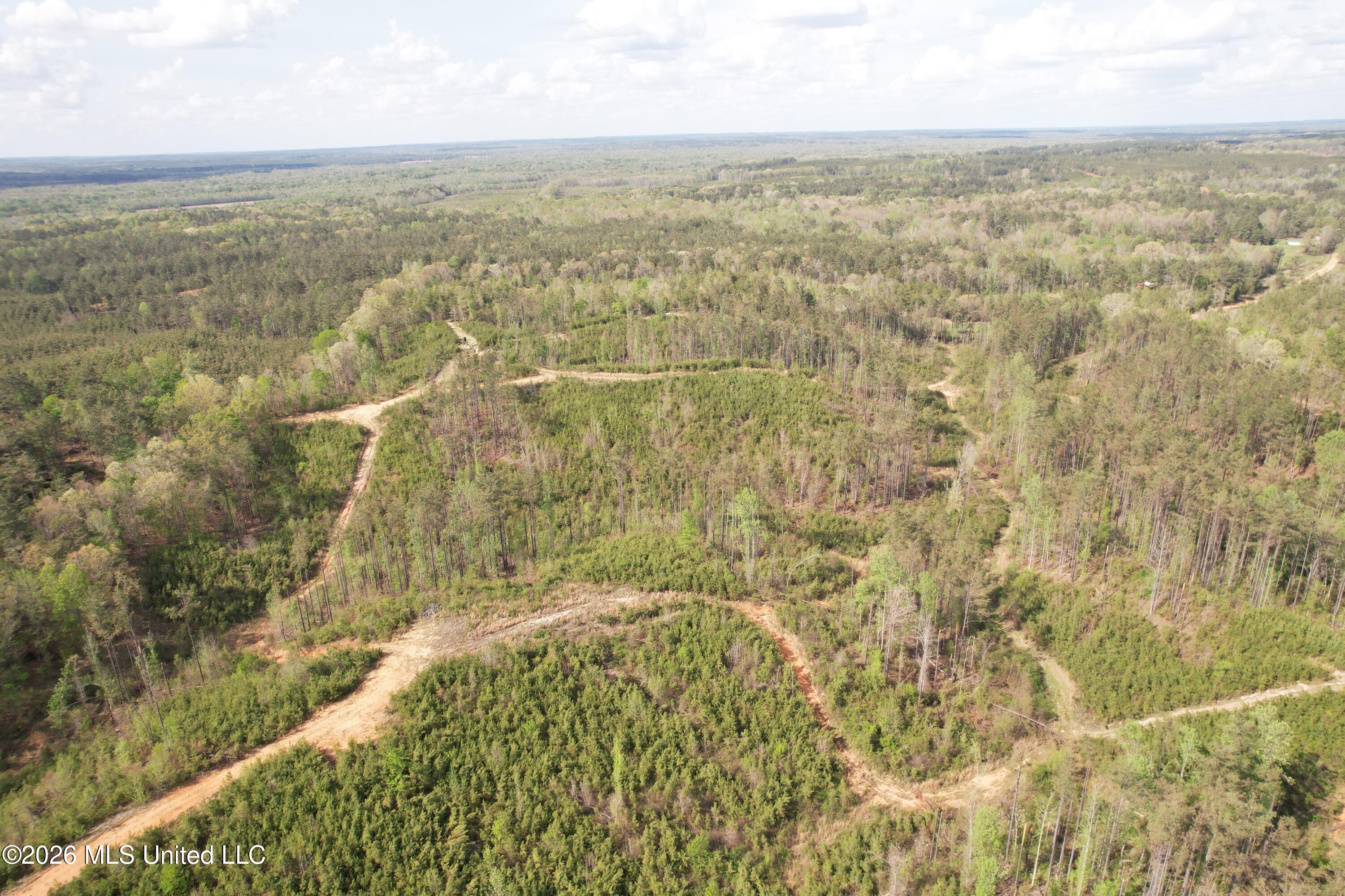 Seymour Road Kilmichael, MS 39747 - Photo 44 of 104 DJI_0082