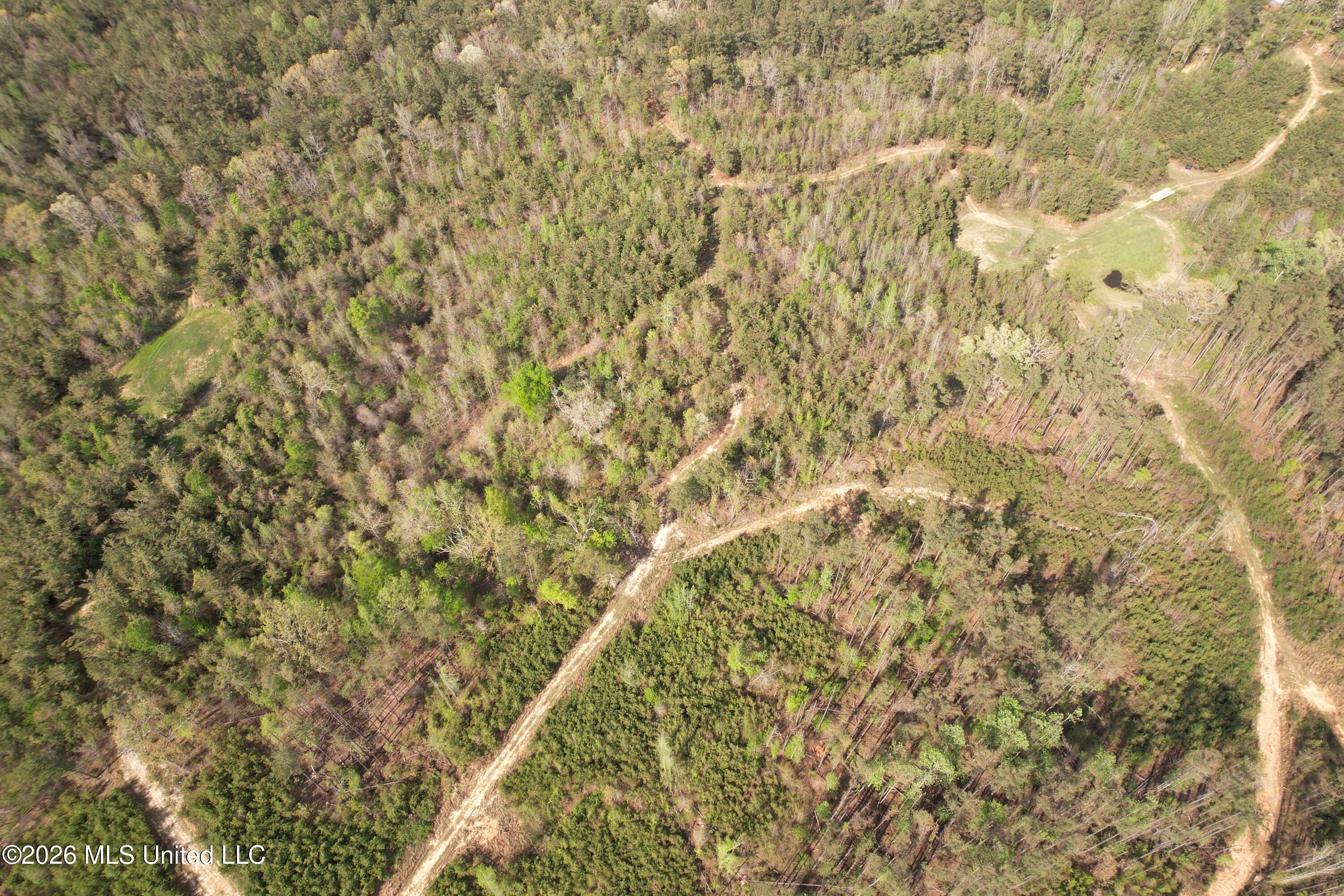 Seymour Road Kilmichael, MS 39747 - Photo 45 of 104 DJI_0083