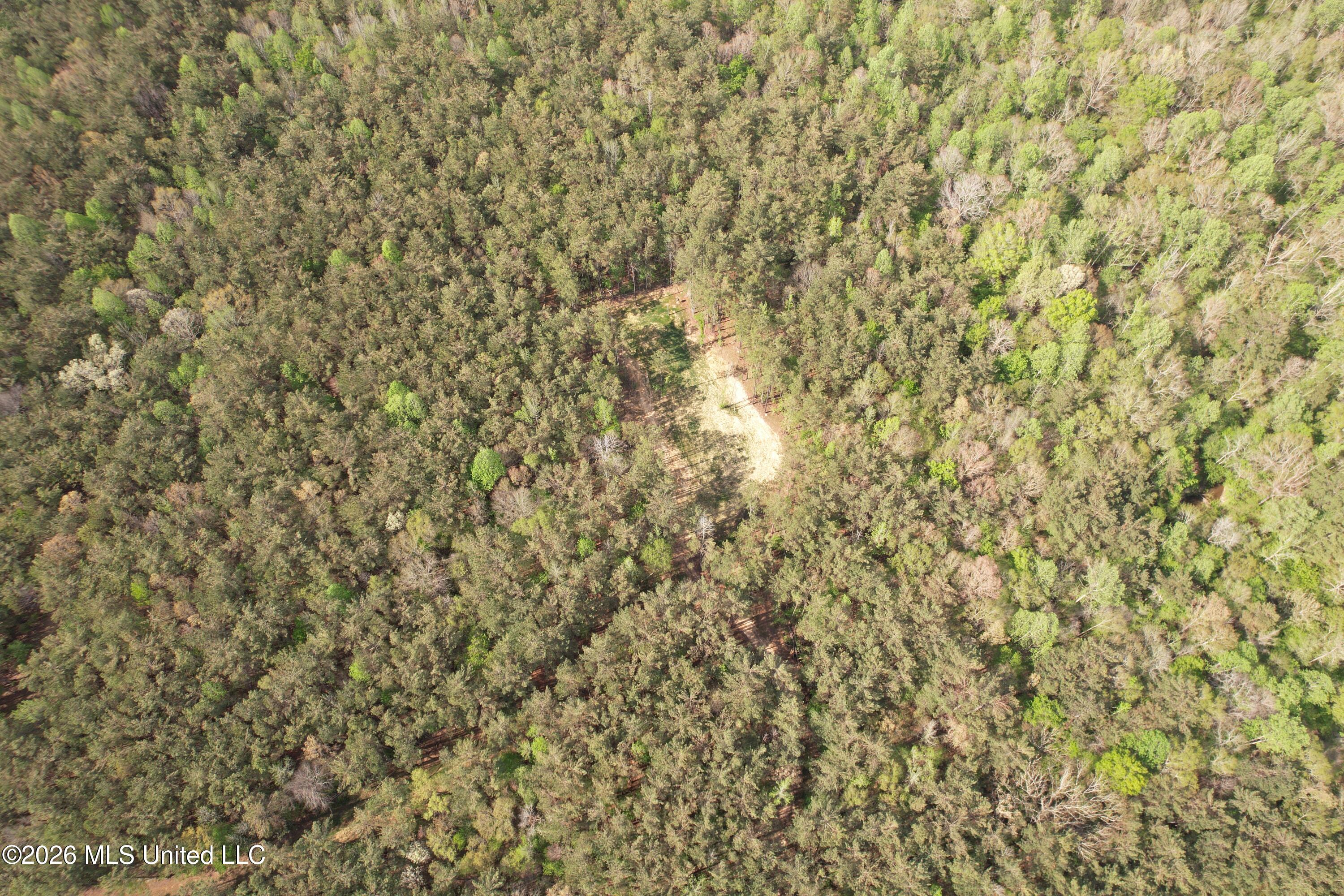 Seymour Road Kilmichael, MS 39747 - Photo 46 of 104 DJI_0084