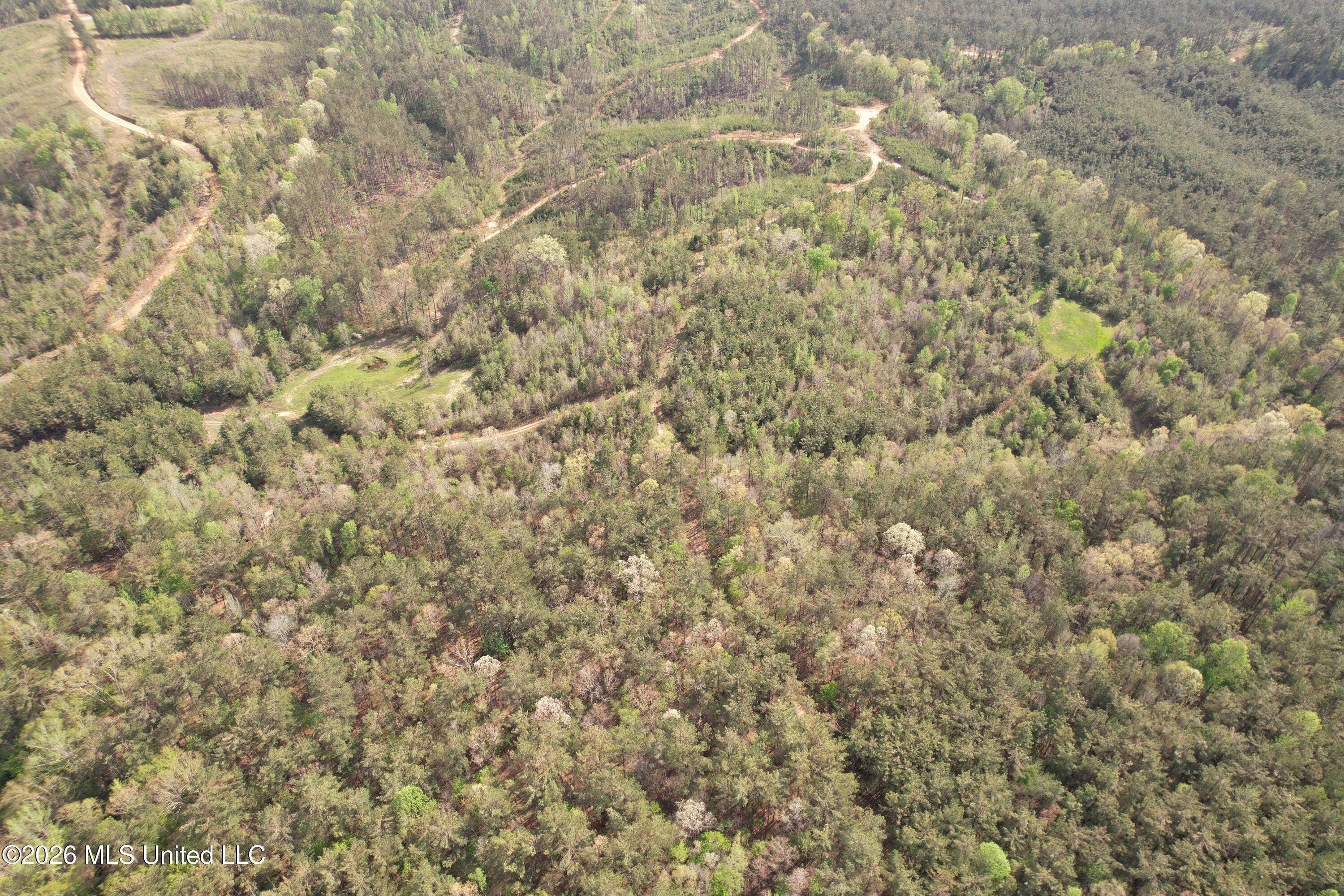 Seymour Road Kilmichael, MS 39747 - Photo 47 of 104 DJI_0085