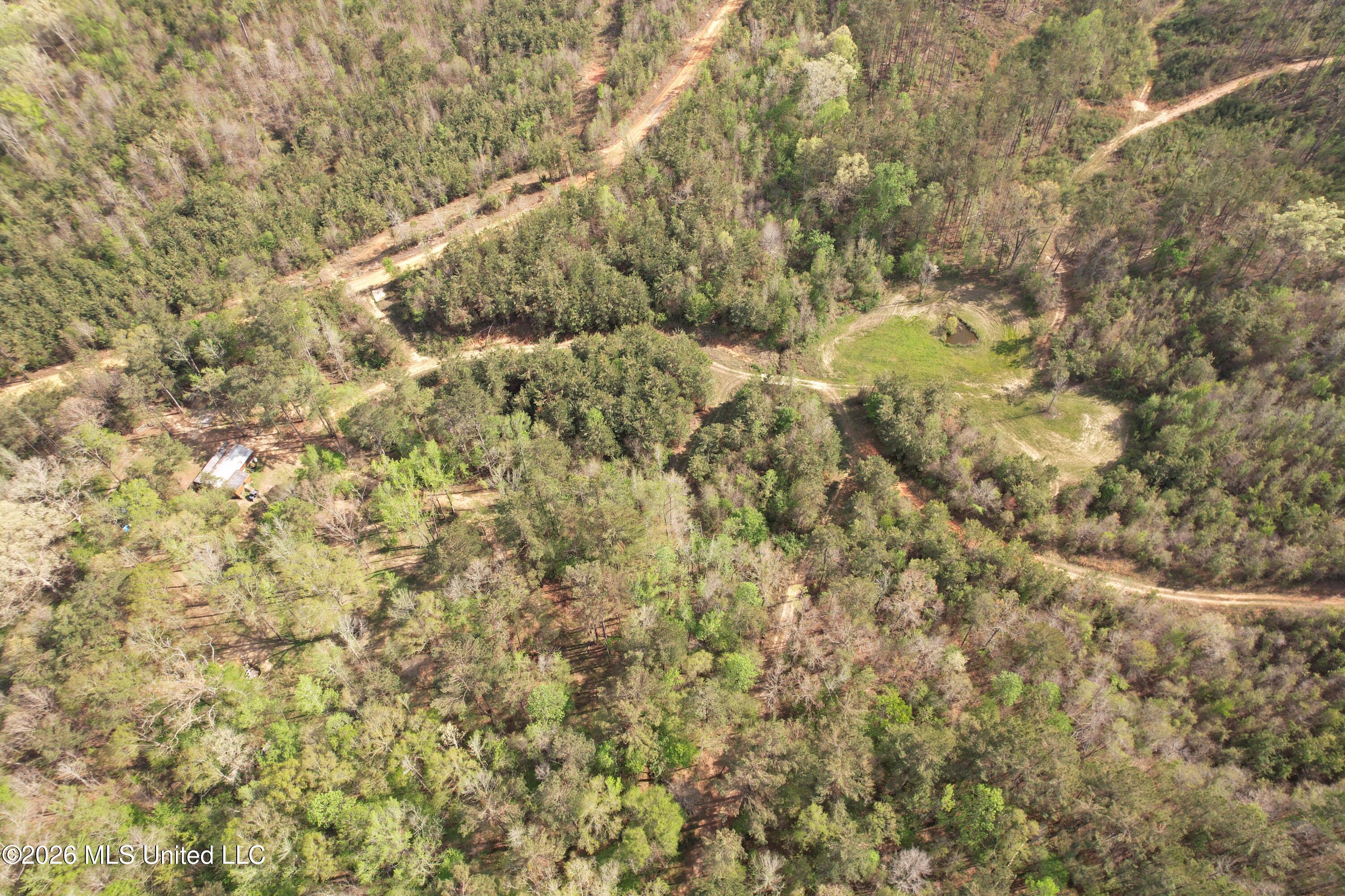 Seymour Road Kilmichael, MS 39747 - Photo 48 of 104 DJI_0086