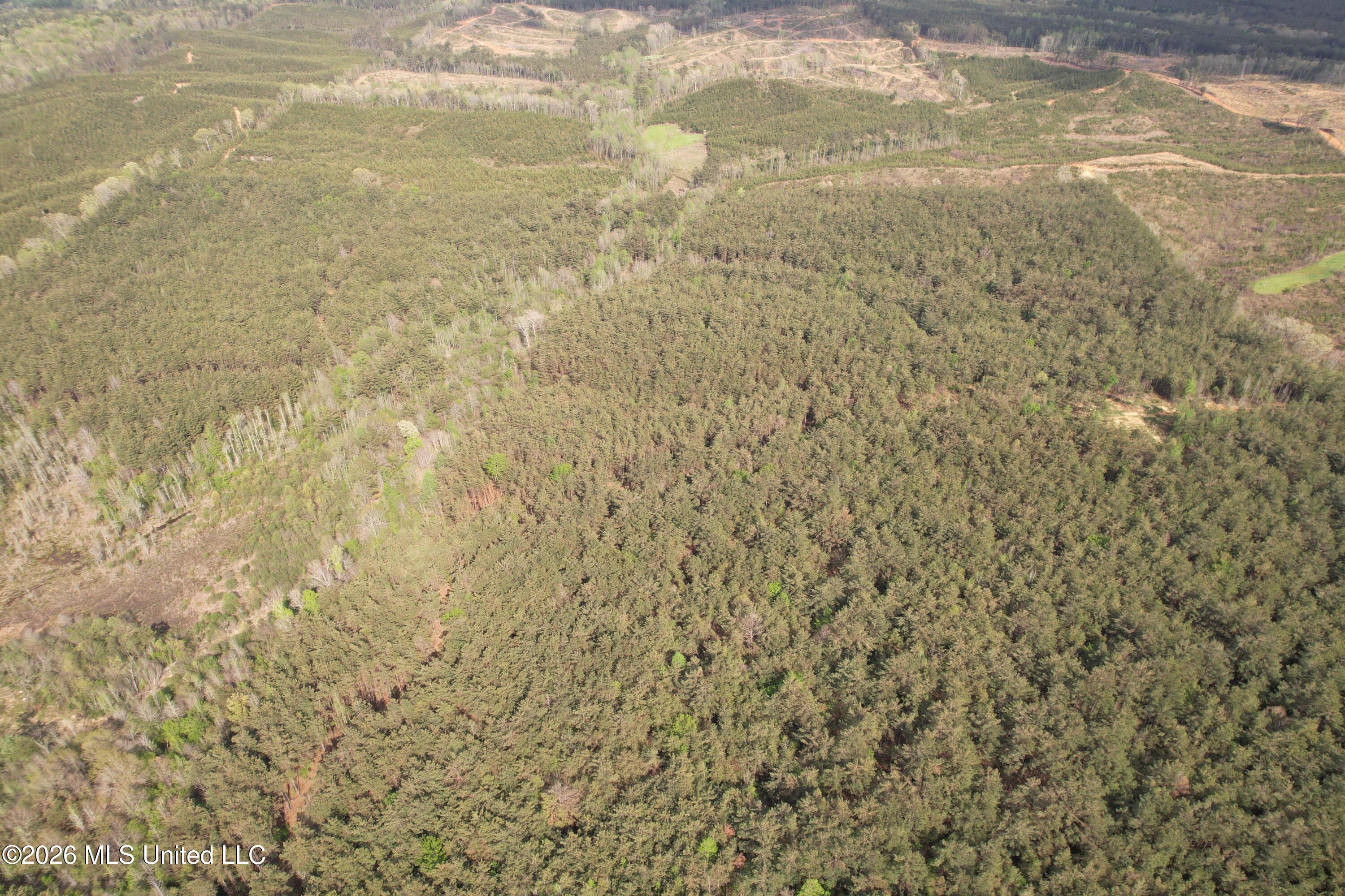 Seymour Road Kilmichael, MS 39747 - Photo 49 of 104 DJI_0095