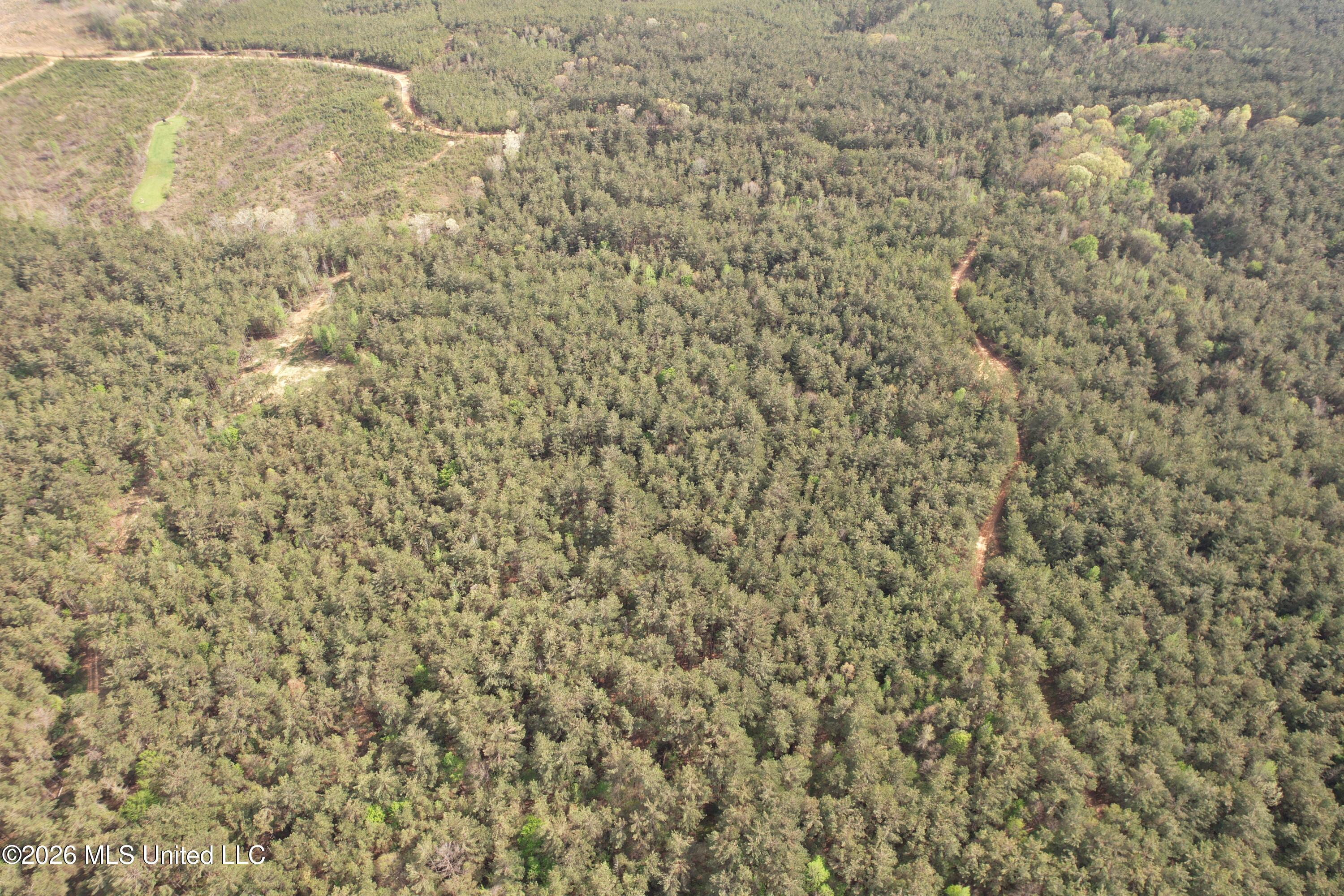 Seymour Road Kilmichael, MS 39747 - Photo 50 of 104 DJI_0096