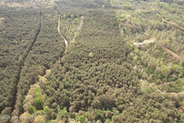 $1,053,260 | Seymour Road, Kilmichael, MS 39747