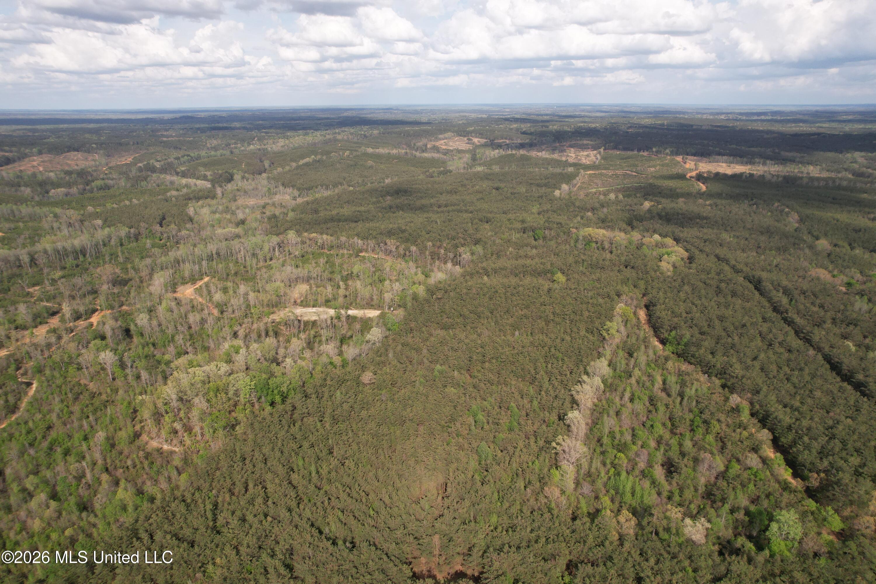 Seymour Road Kilmichael, MS 39747 - Photo 52 of 104 DJI_0098
