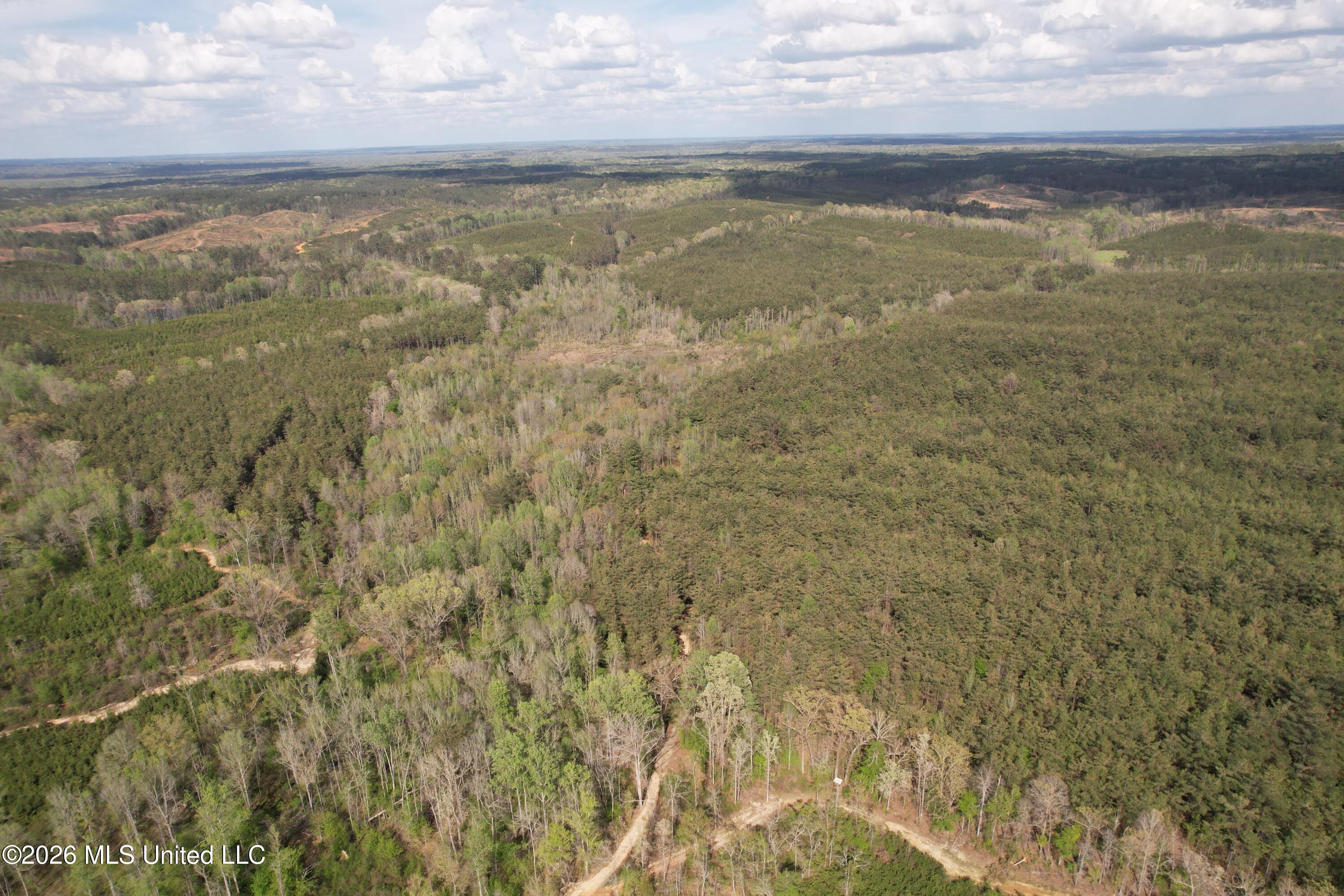 Seymour Road Kilmichael, MS 39747 - Photo 56 of 104 DJI_0091
