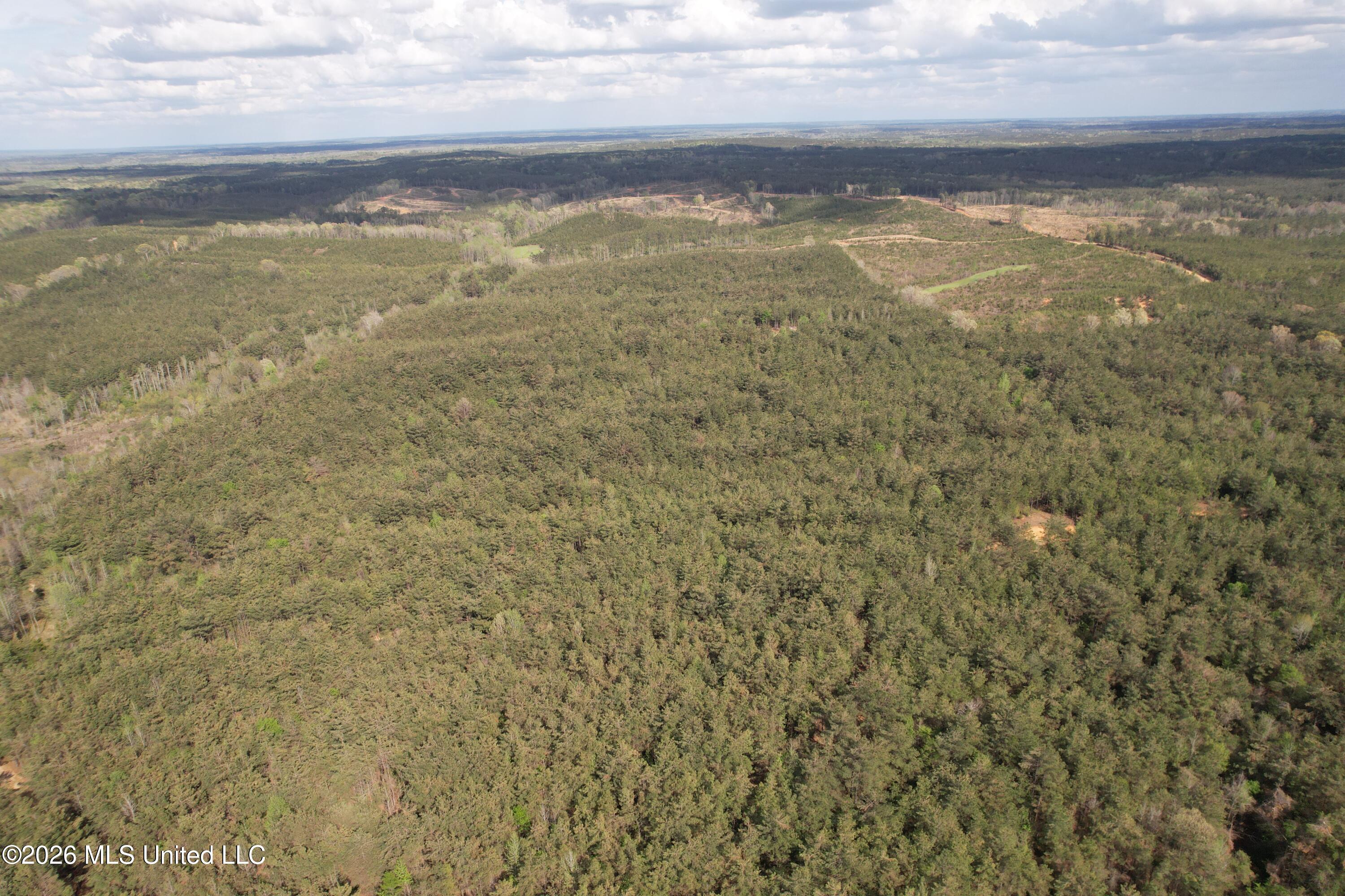 Seymour Road Kilmichael, MS 39747 - Photo 57 of 104 DJI_0092