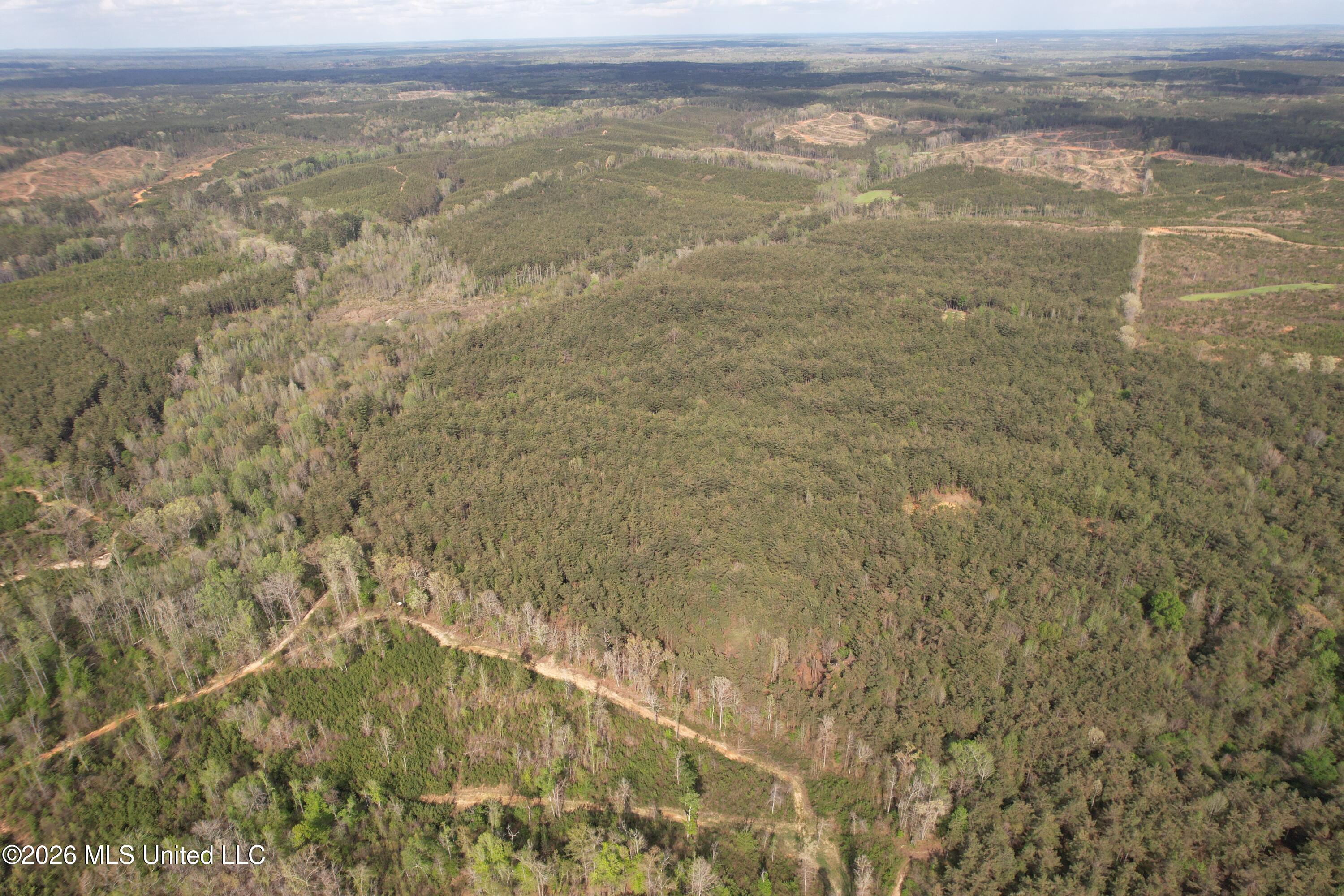 Seymour Road Kilmichael, MS 39747 - Photo 58 of 104 DJI_0093