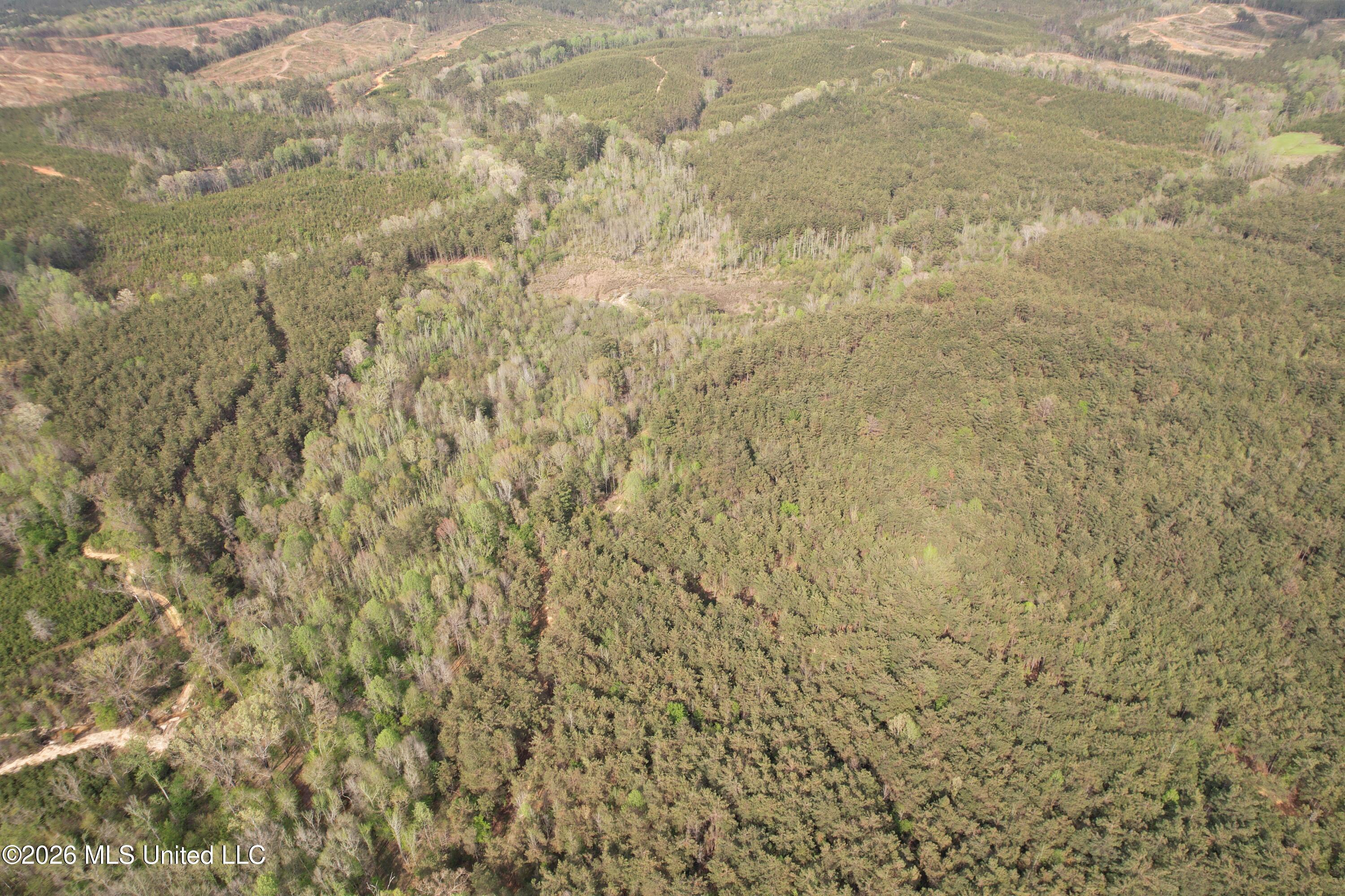 Seymour Road Kilmichael, MS 39747 - Photo 59 of 104 DJI_0094