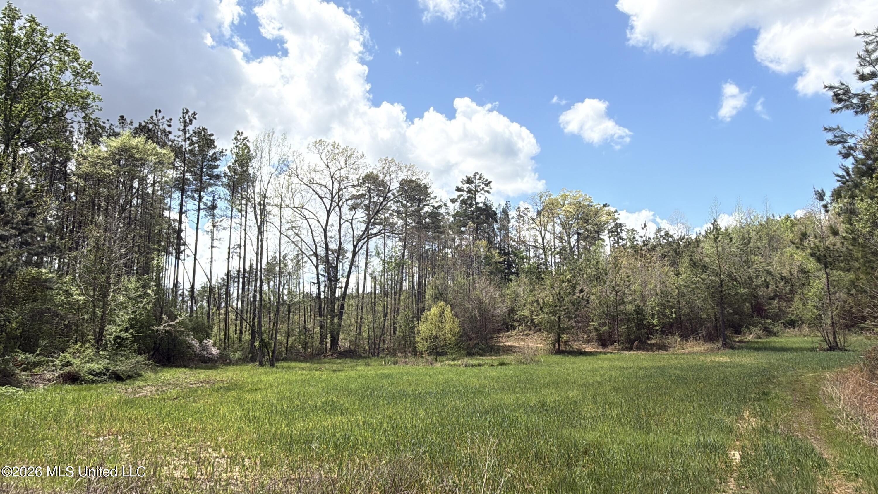 Seymour Road Kilmichael, MS 39747 - Photo 60 of 104 IMG_3842