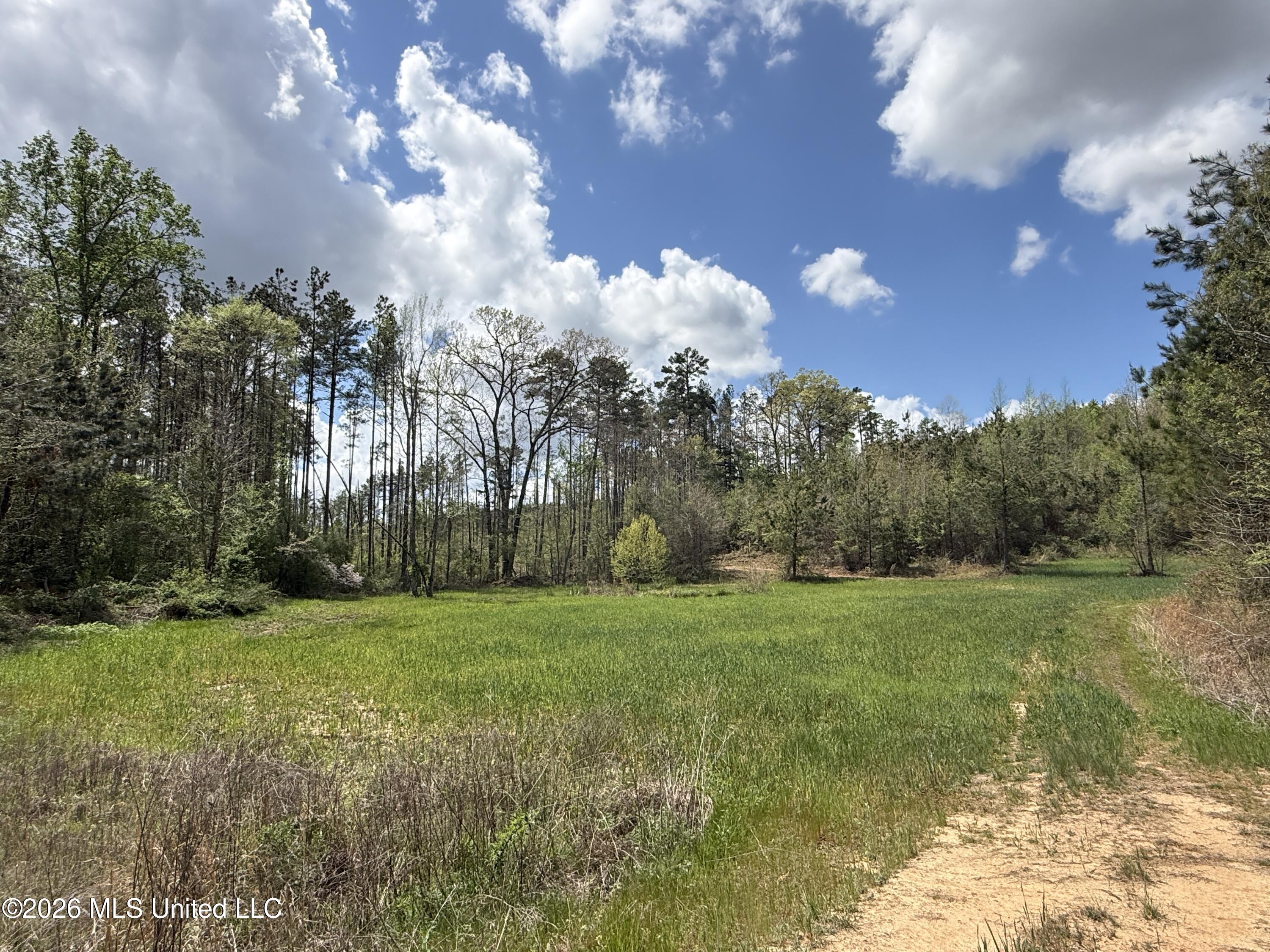 Seymour Road Kilmichael, MS 39747 - Photo 61 of 104 IMG_3843