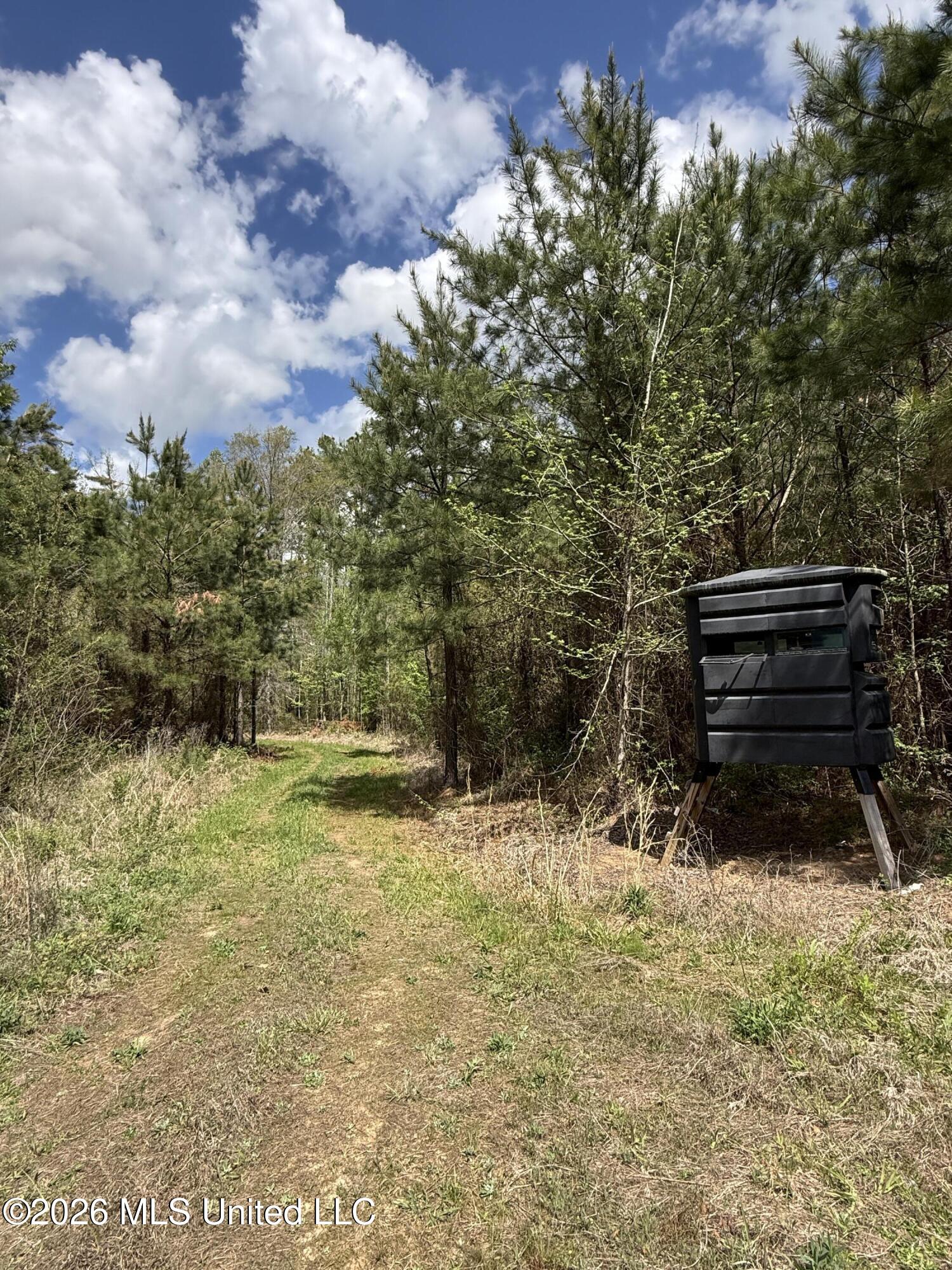 Seymour Road Kilmichael, MS 39747 - Photo 62 of 104 IMG_3844