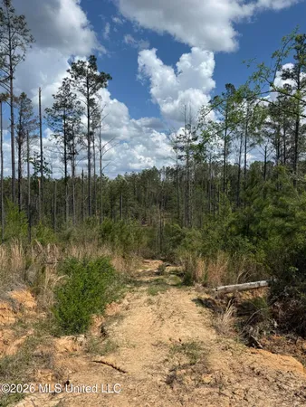 $1,053,260 | Seymour Road, Kilmichael, MS 39747