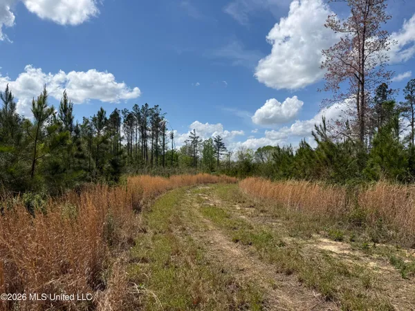 $1,053,260 | Seymour Road, Kilmichael, MS 39747