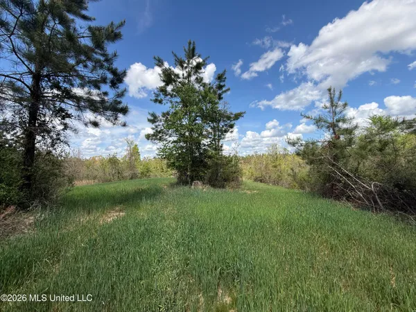 $1,053,260 | Seymour Road, Kilmichael, MS 39747