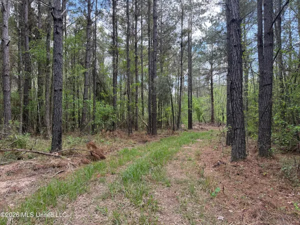 $1,053,260 | Seymour Road, Kilmichael, MS 39747