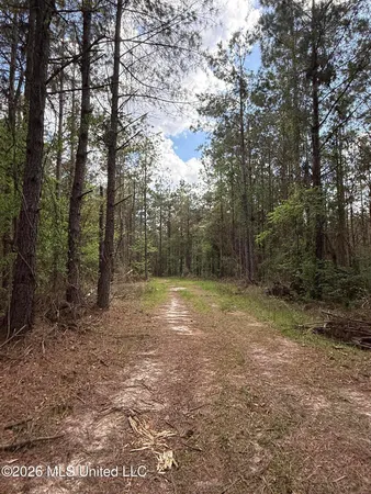 $1,053,260 | Seymour Road, Kilmichael, MS 39747