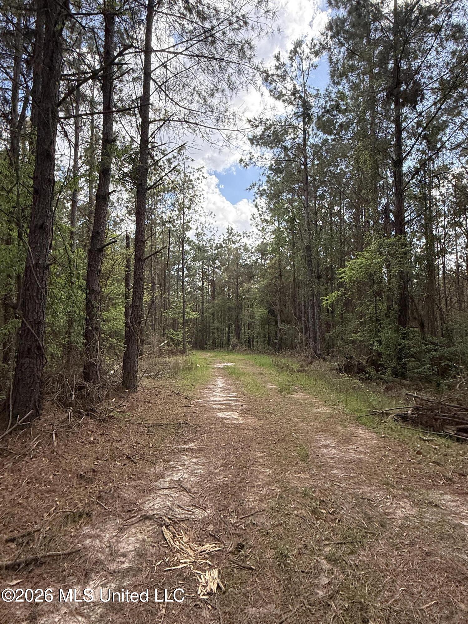 Seymour Road Kilmichael, MS 39747 - Photo 69 of 104 IMG_3921