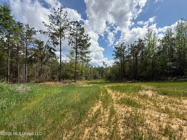 $1,053,260 | Seymour Road, Kilmichael, MS 39747
