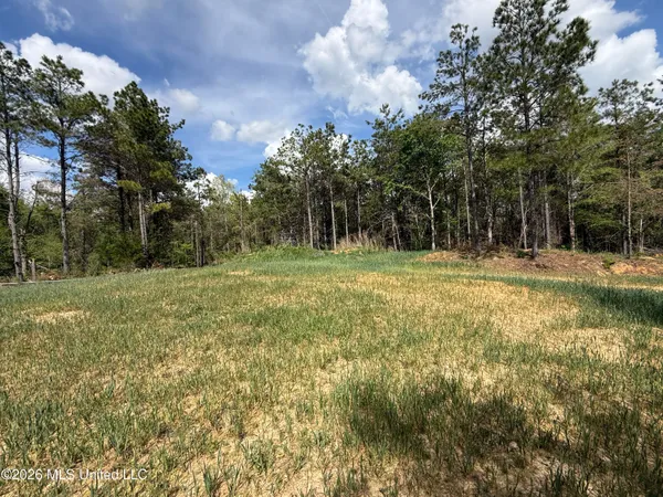 $1,053,260 | Seymour Road, Kilmichael, MS 39747
