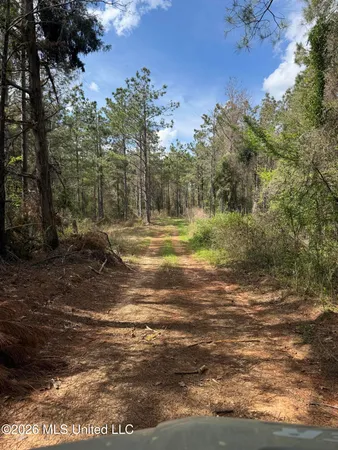 $1,053,260 | Seymour Road, Kilmichael, MS 39747