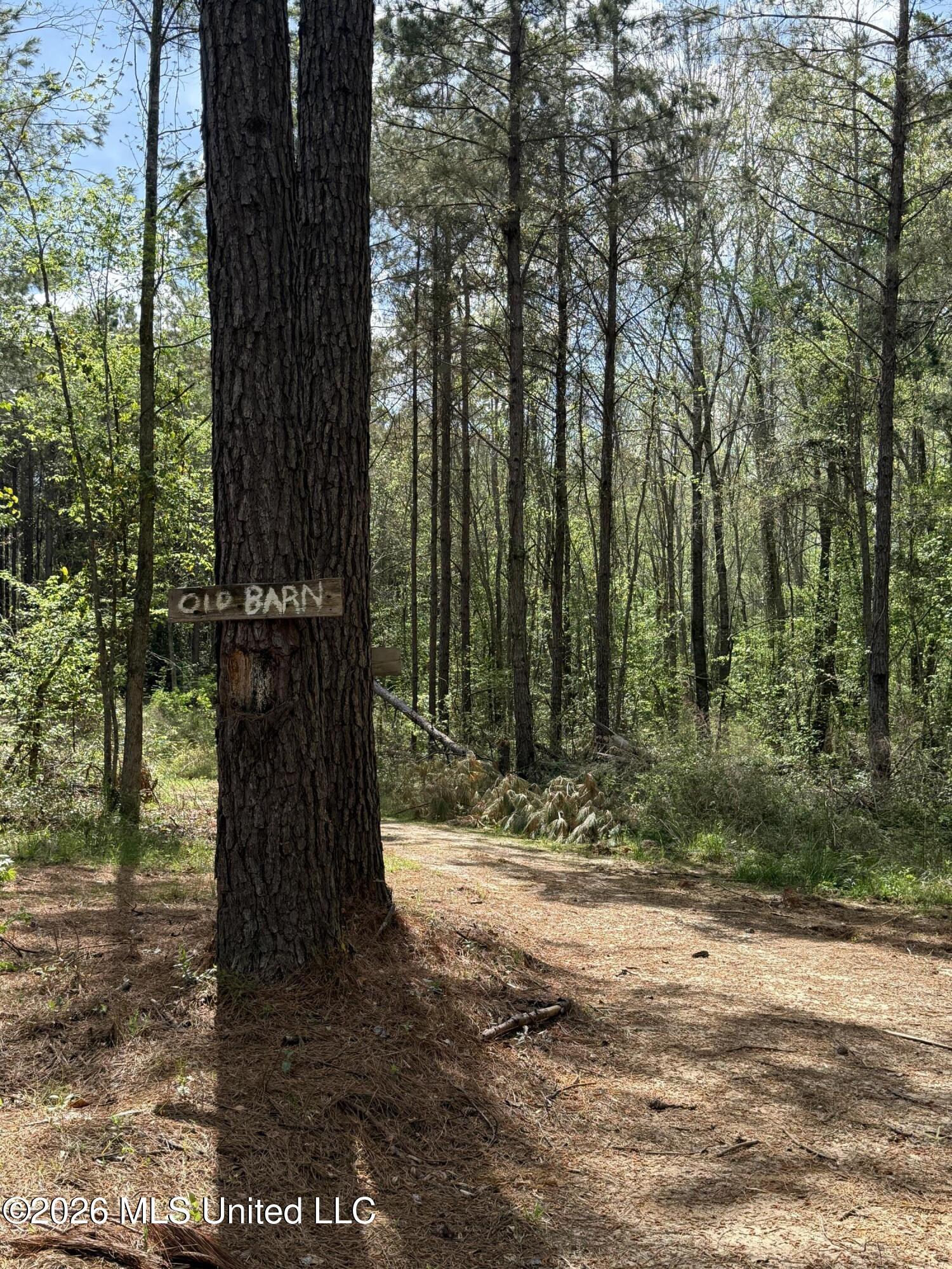 Seymour Road Kilmichael, MS 39747 - Photo 73 of 104 IMG_3926