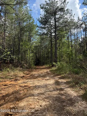 $1,053,260 | Seymour Road, Kilmichael, MS 39747