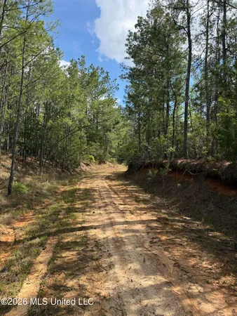 $1,053,260 | Seymour Road, Kilmichael, MS 39747