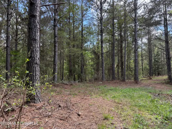 $1,053,260 | Seymour Road, Kilmichael, MS 39747