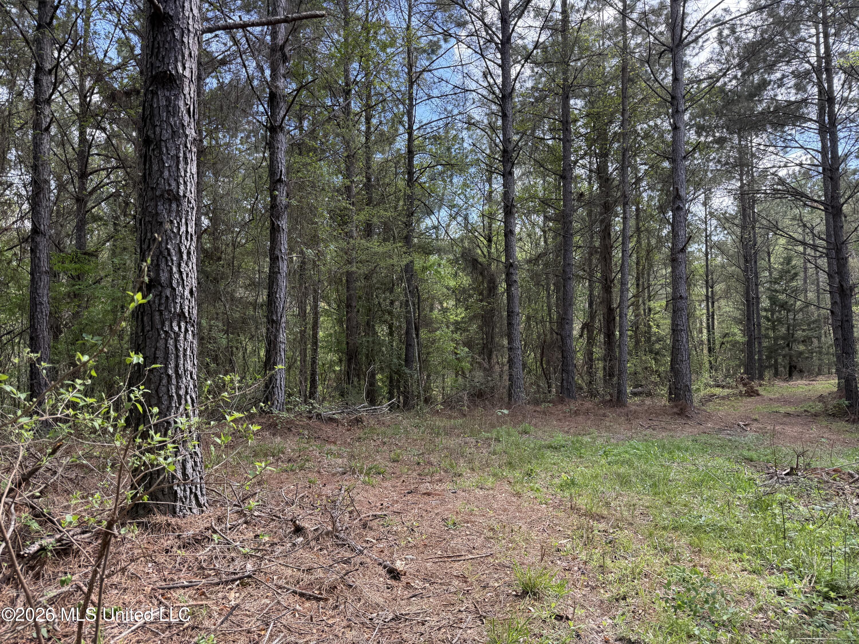 Seymour Road Kilmichael, MS 39747 - Photo 76 of 104 IMG_3929
