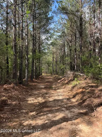 $1,053,260 | Seymour Road, Kilmichael, MS 39747