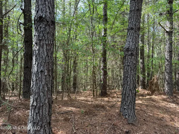 $1,053,260 | Seymour Road, Kilmichael, MS 39747