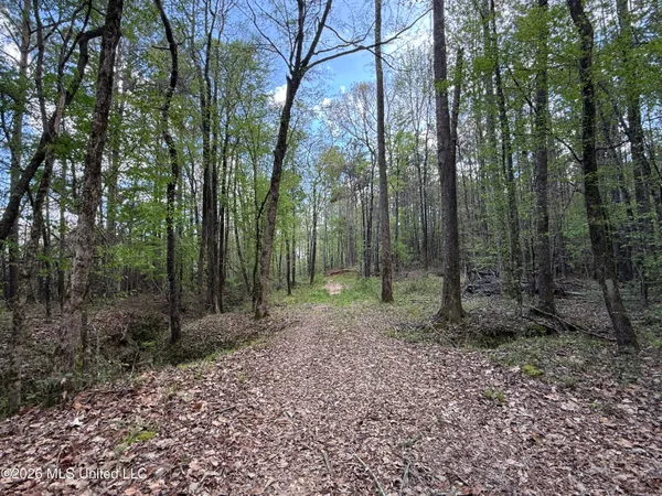 $1,053,260 | Seymour Road, Kilmichael, MS 39747