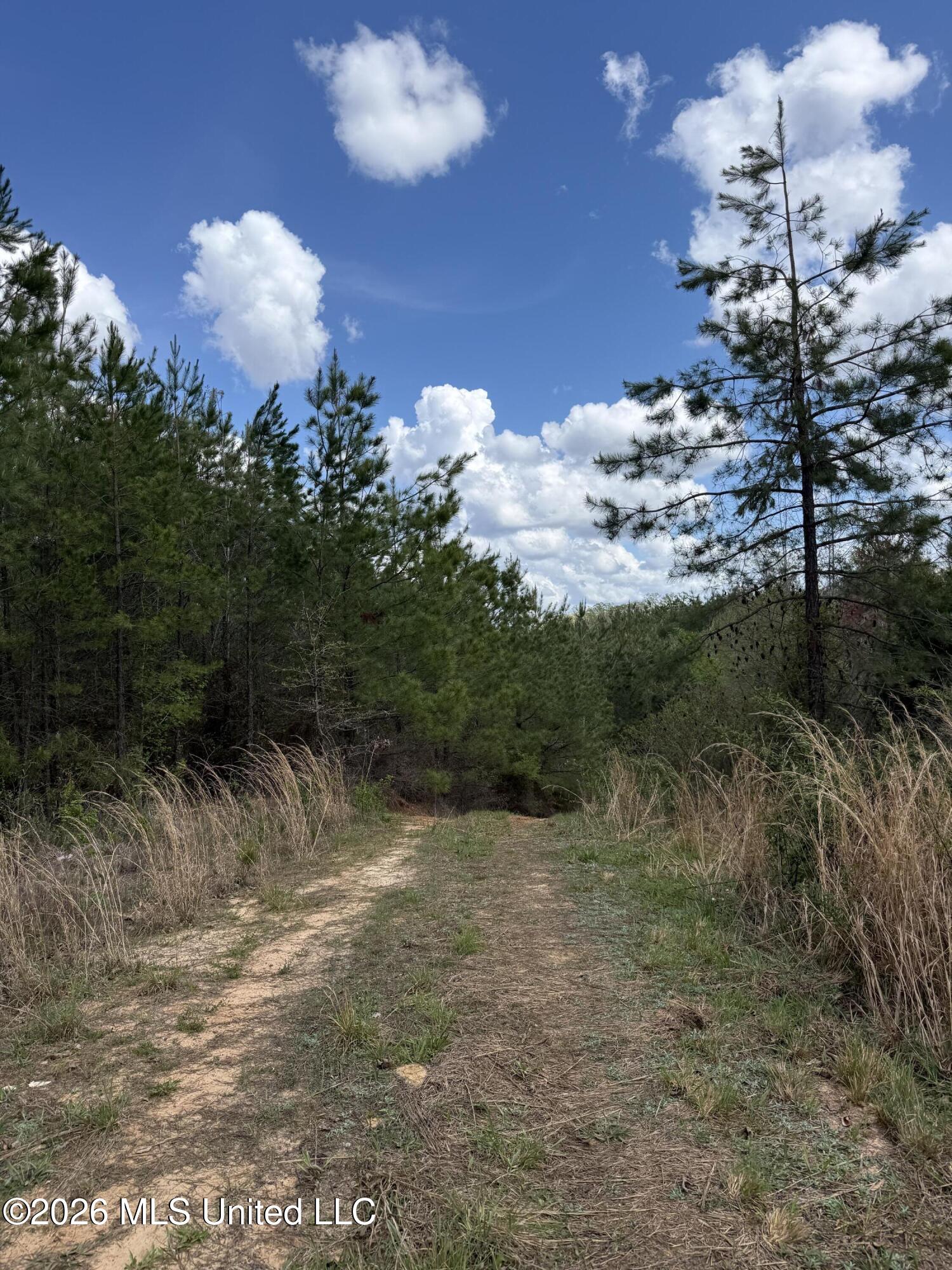 Seymour Road Kilmichael, MS 39747 - Photo 81 of 104 IMG_3888