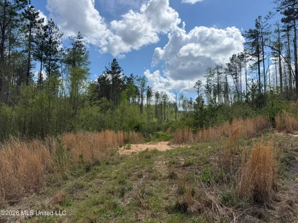 $1,053,260 | Seymour Road, Kilmichael, MS 39747