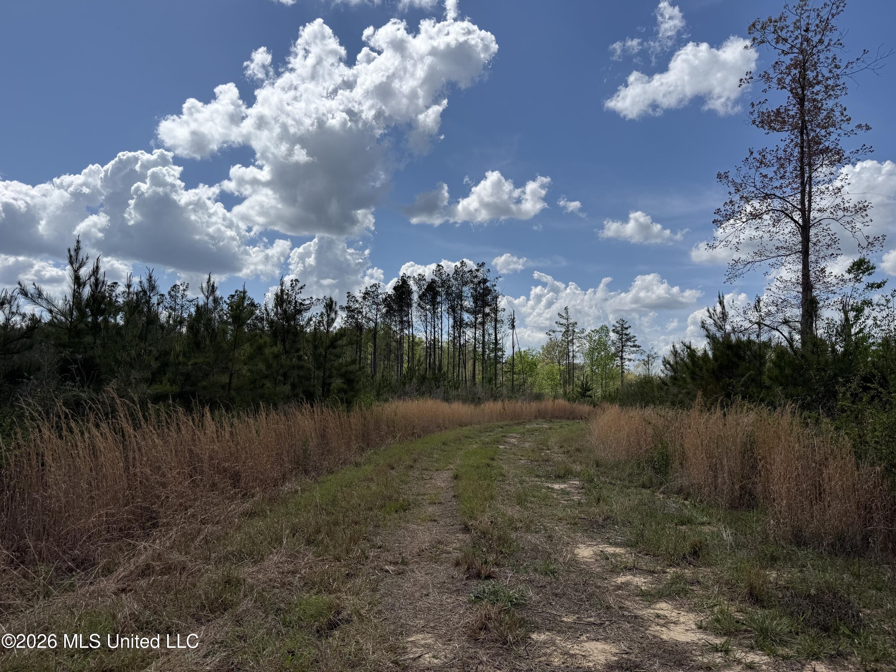Seymour Road Kilmichael, MS 39747 - Photo 83 of 104 IMG_3892