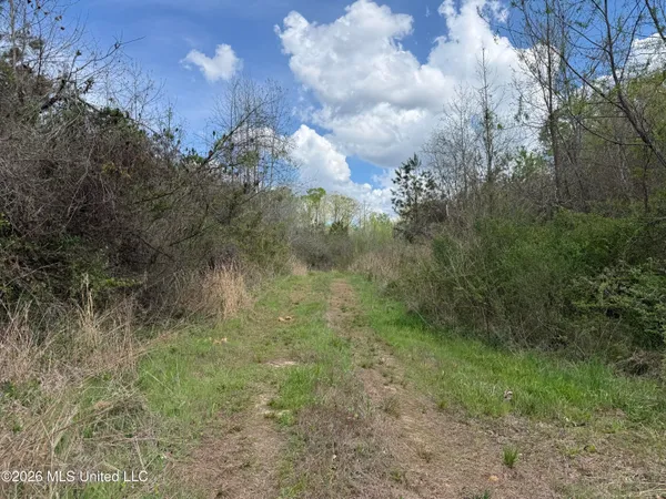 $1,053,260 | Seymour Road, Kilmichael, MS 39747