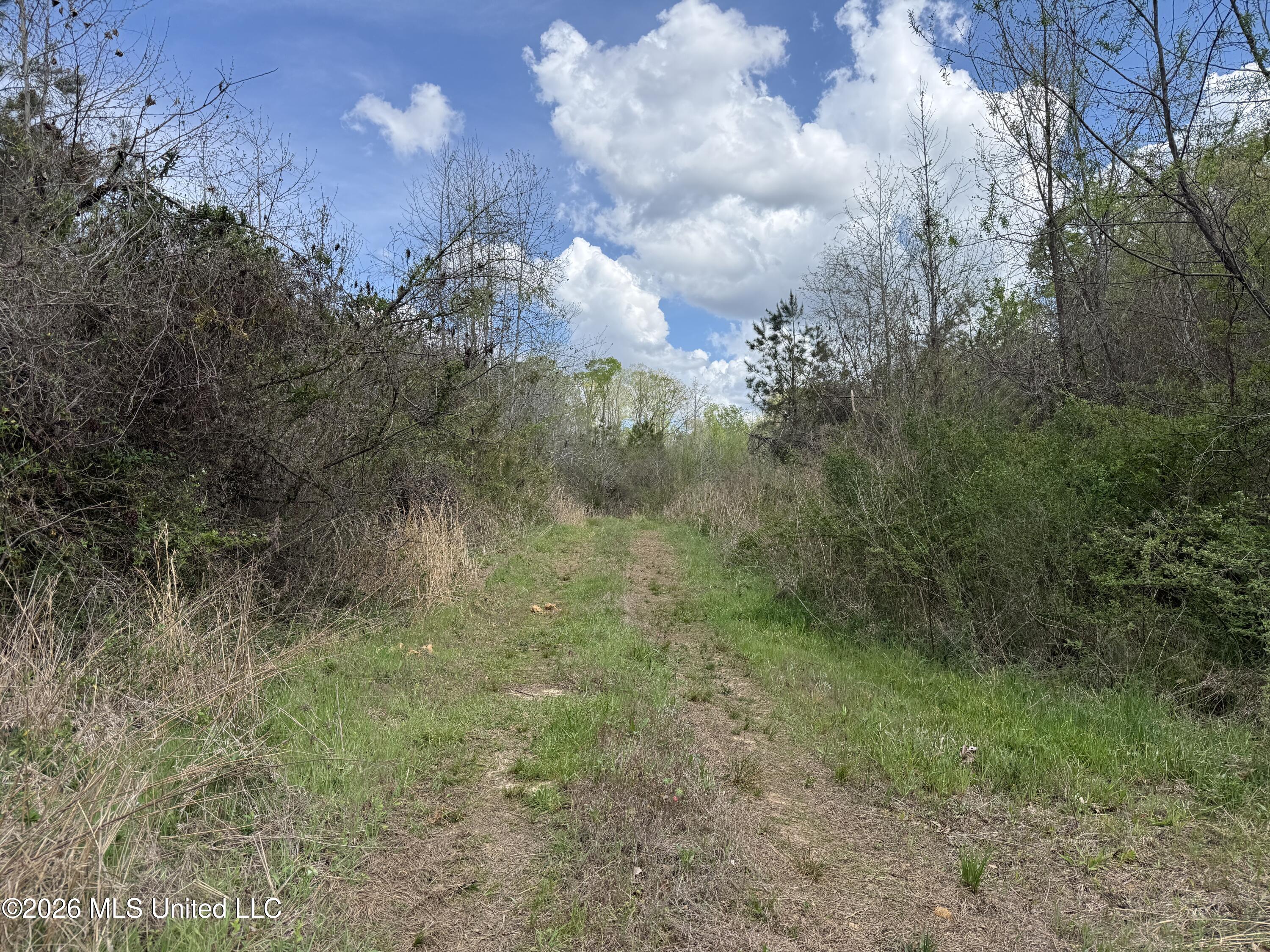 Seymour Road Kilmichael, MS 39747 - Photo 84 of 104 IMG_3913