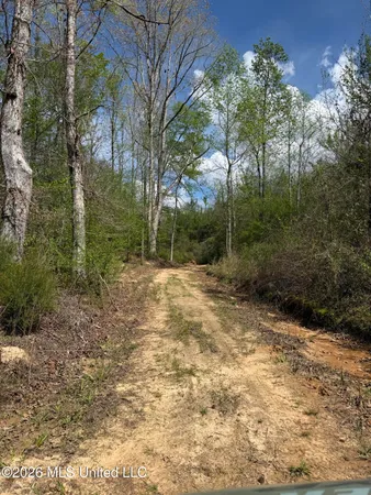$1,053,260 | Seymour Road, Kilmichael, MS 39747