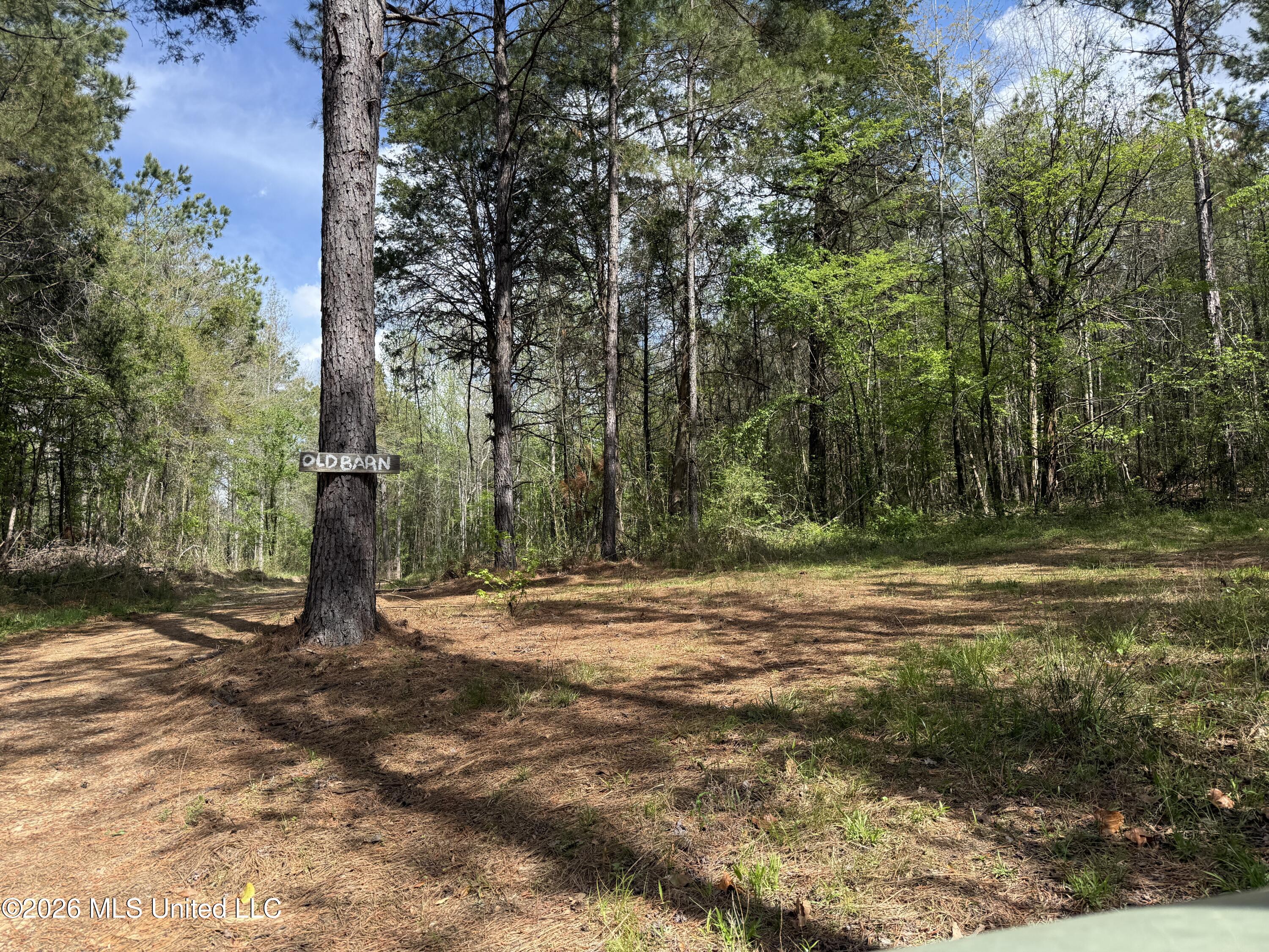 Seymour Road Kilmichael, MS 39747 - Photo 86 of 104 IMG_3916