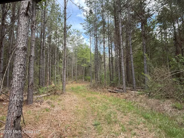 $1,053,260 | Seymour Road, Kilmichael, MS 39747