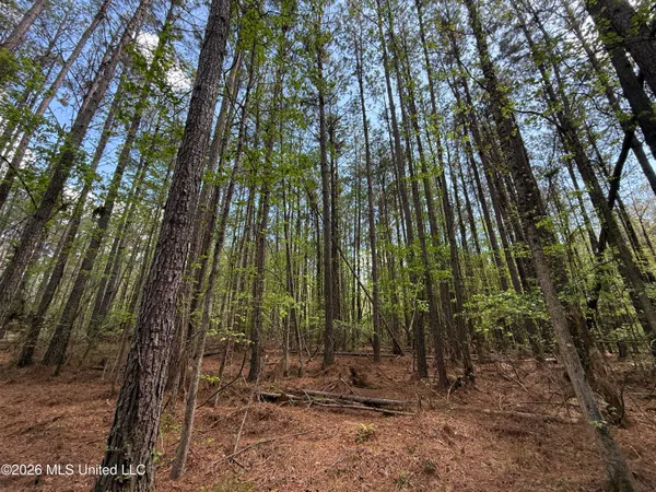 $1,053,260 | Seymour Road, Kilmichael, MS 39747