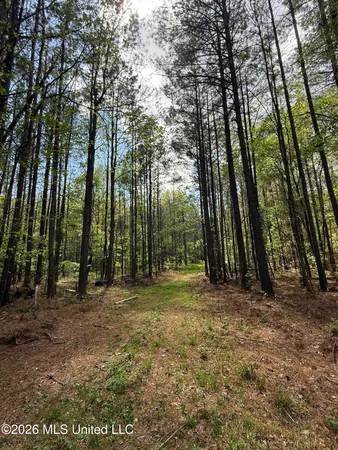 $1,053,260 | Seymour Road, Kilmichael, MS 39747