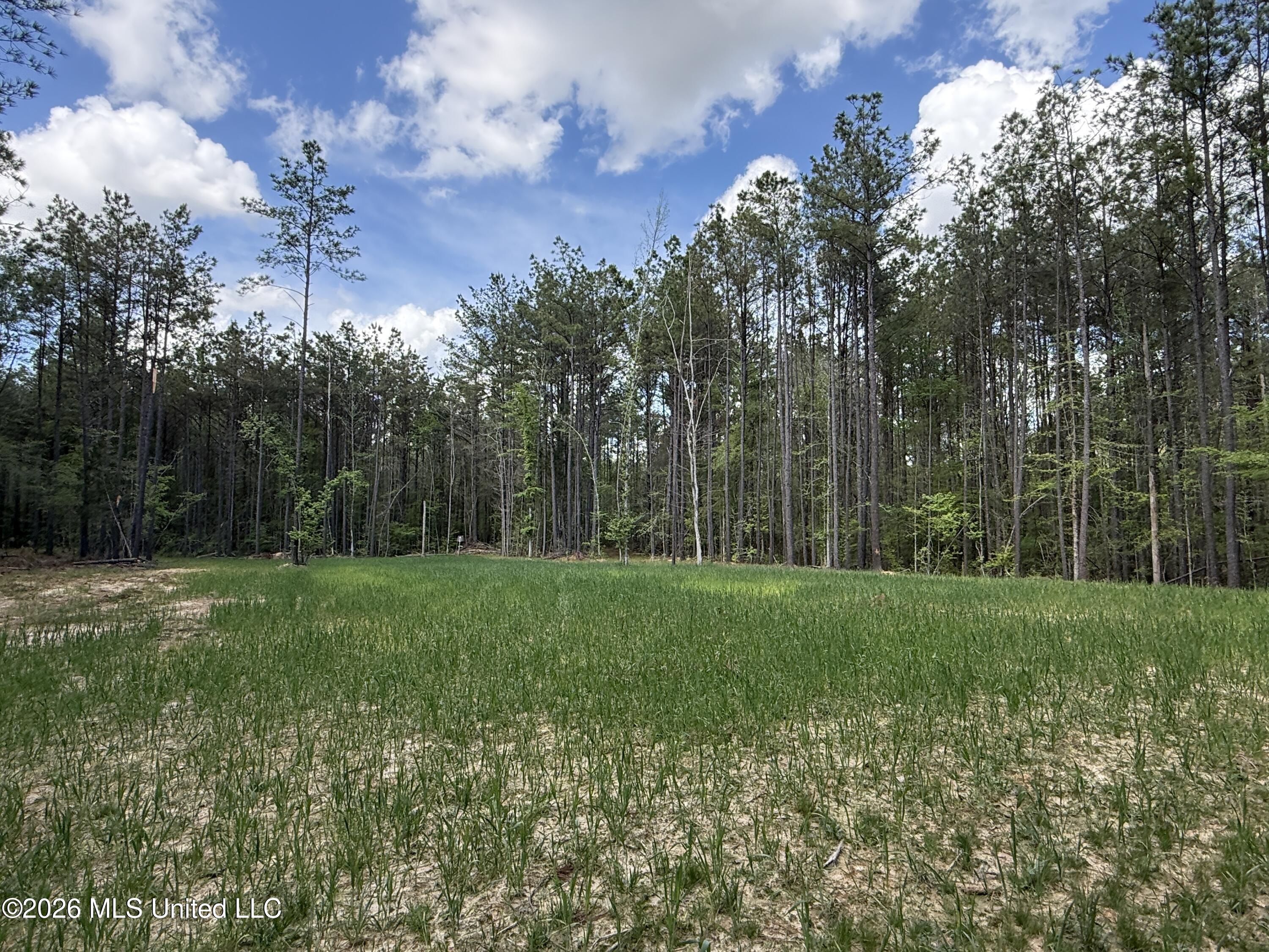 Seymour Road Kilmichael, MS 39747 - Photo 92 of 104 IMG_3861
