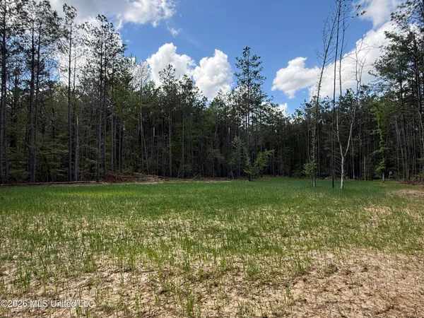 $1,053,260 | Seymour Road, Kilmichael, MS 39747