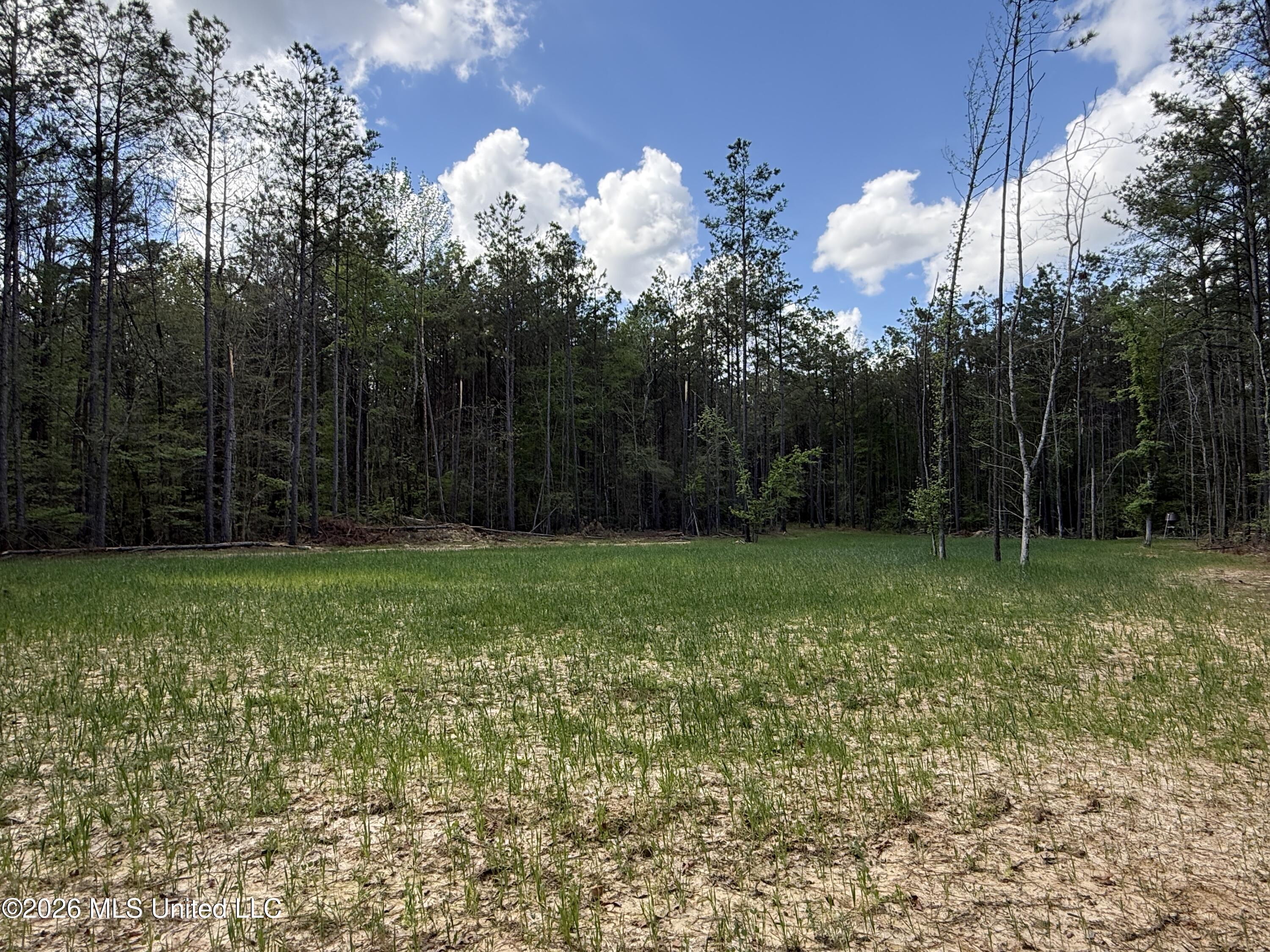Seymour Road Kilmichael, MS 39747 - Photo 93 of 104 IMG_3862