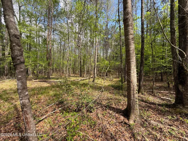 $1,053,260 | Seymour Road, Kilmichael, MS 39747