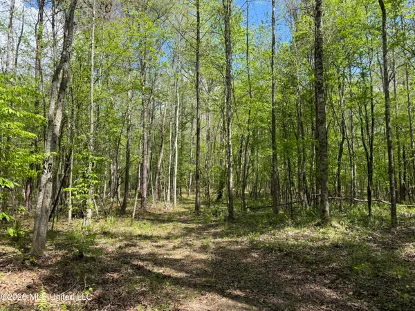 $1,053,260 | Seymour Road, Kilmichael, MS 39747