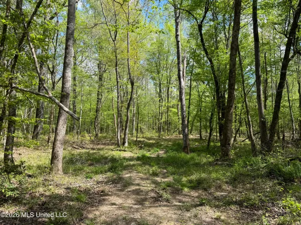 $1,053,260 | Seymour Road, Kilmichael, MS 39747