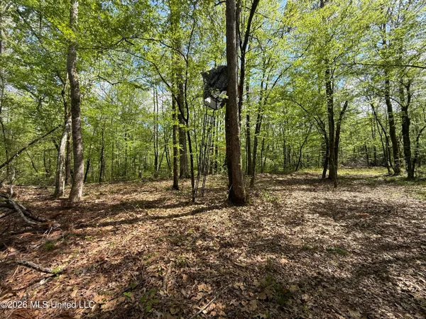 $1,053,260 | Seymour Road, Kilmichael, MS 39747
